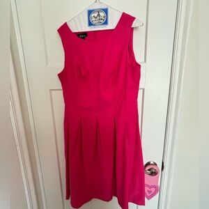 Hot Pink Dress with Zipper. Women’s size large.